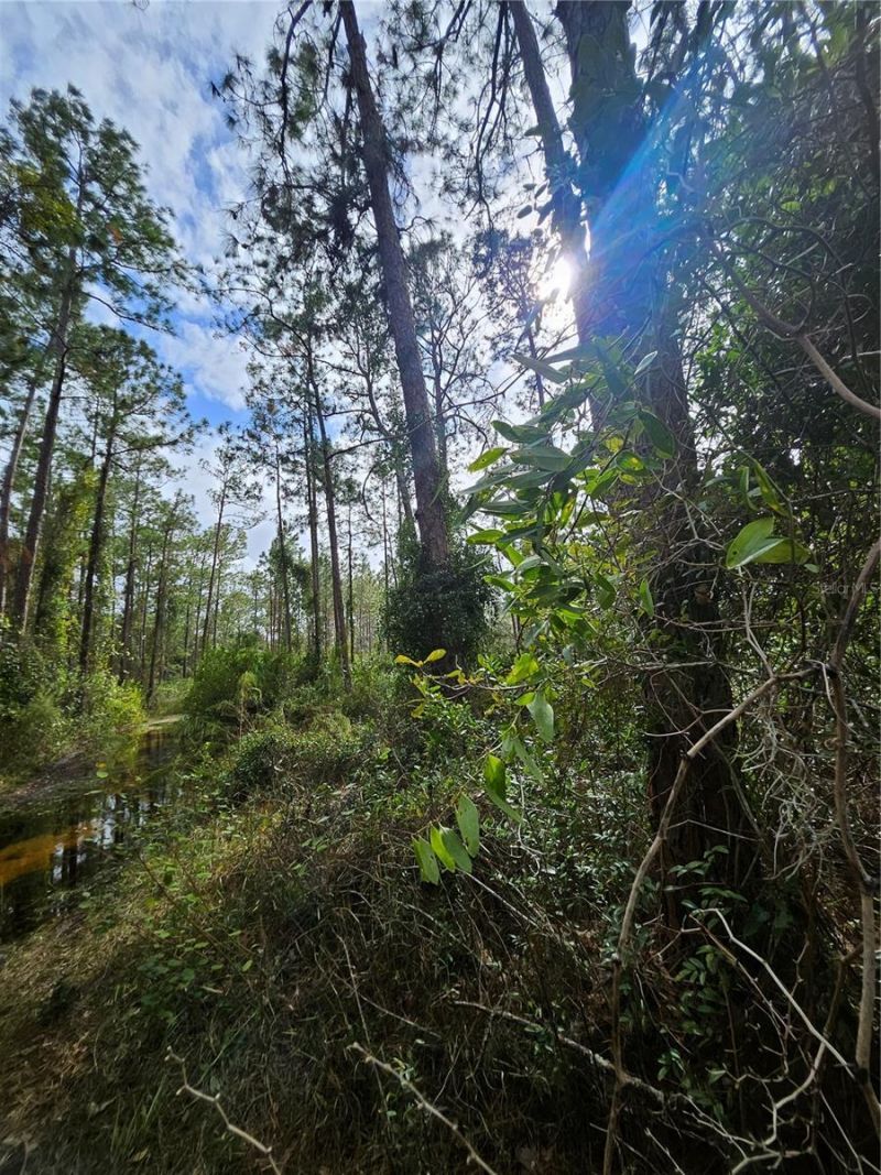 Please Call For Address, Deltona, FL 32738 Photo