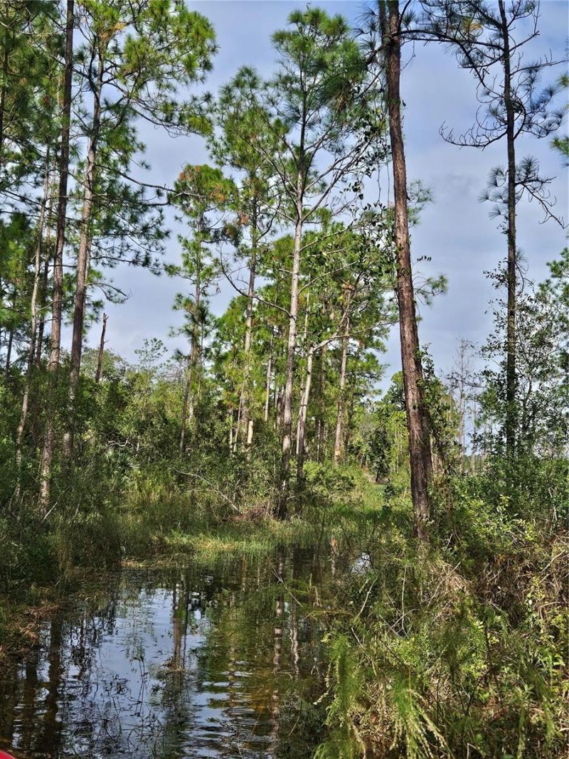 Please Call For Address, Deltona, FL 32738 Photo