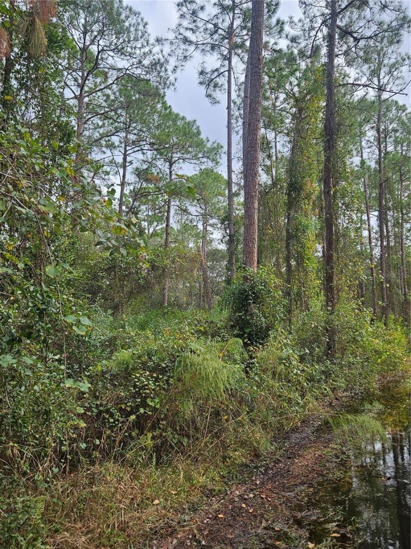 Please Call For Address, Deltona, FL 32738 Photo