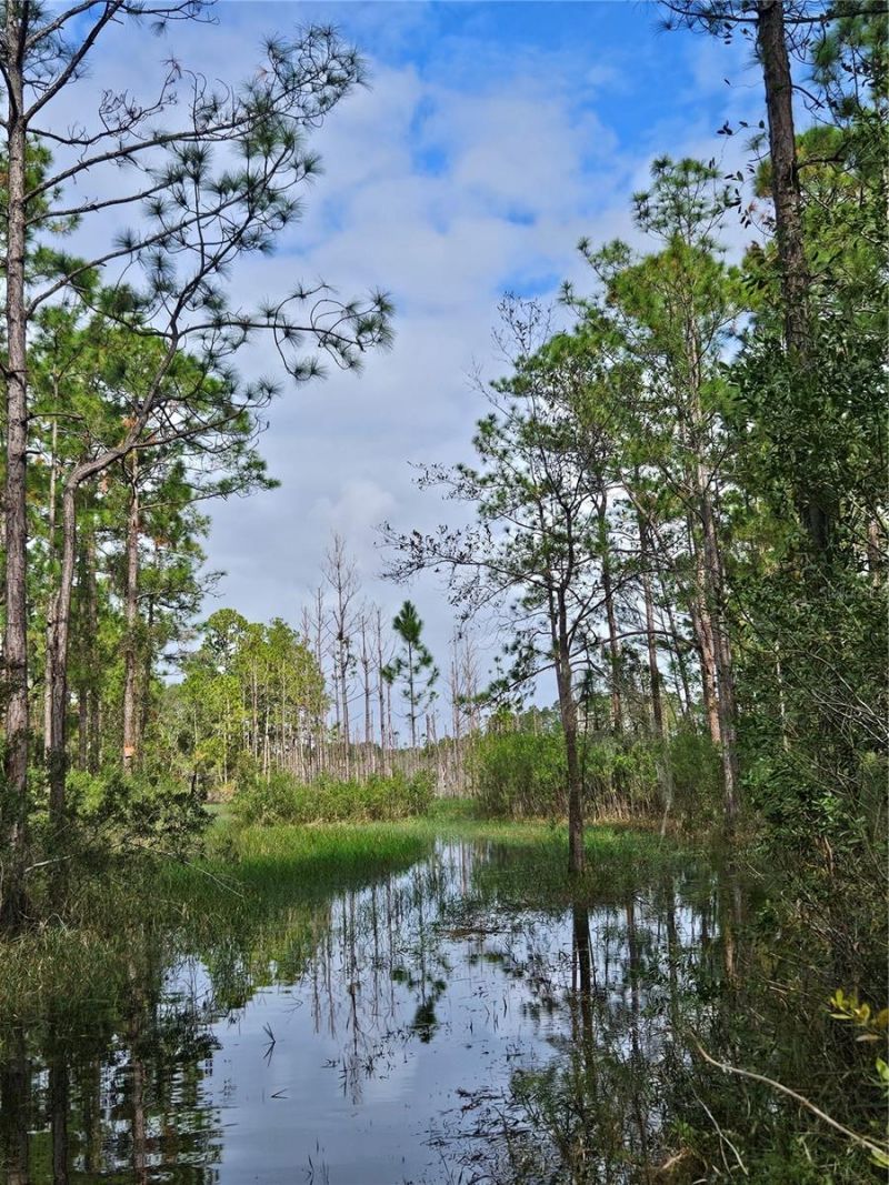 Please Call For Address, Deltona, FL 32738 Photo