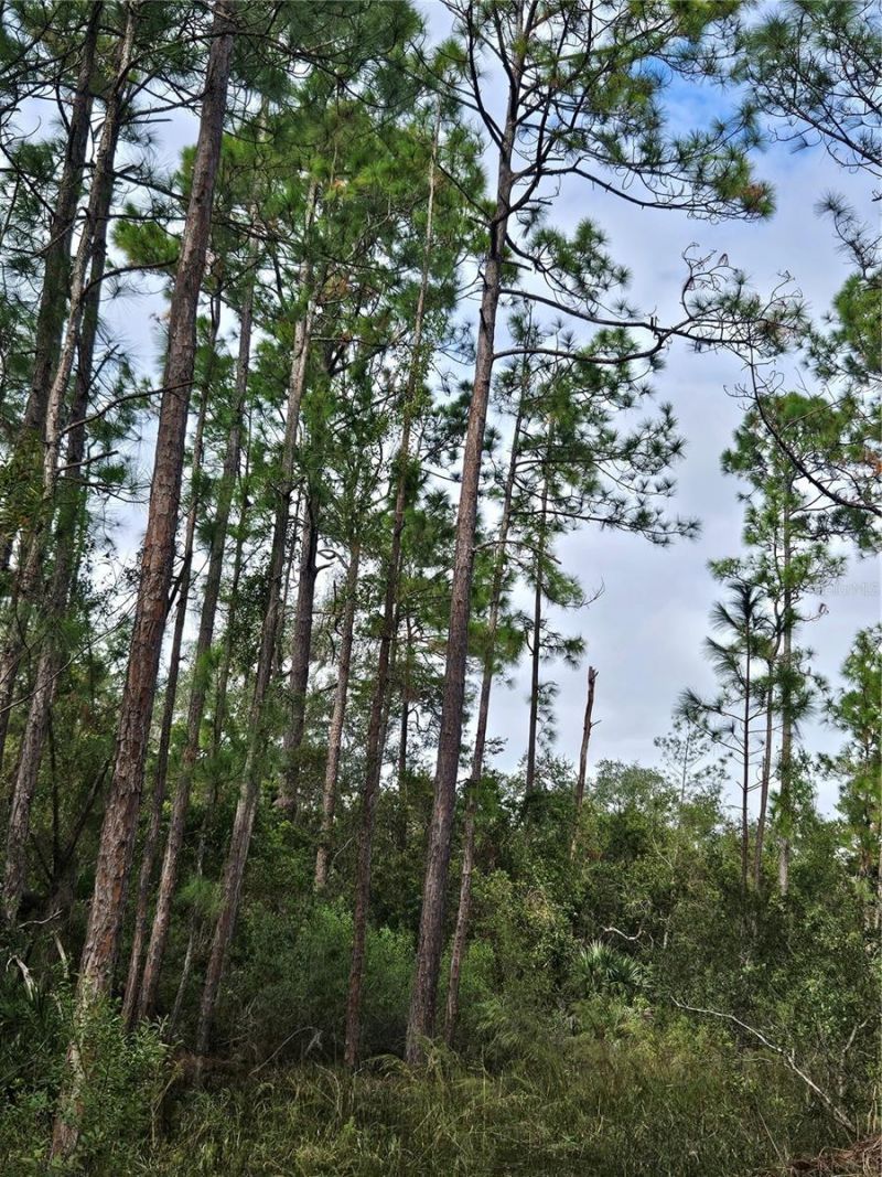 Please Call For Address, Deltona, FL 32738 Photo