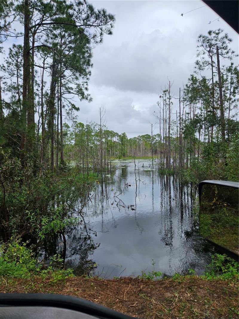 Please Call For Address, Deltona, FL 32738 Photo