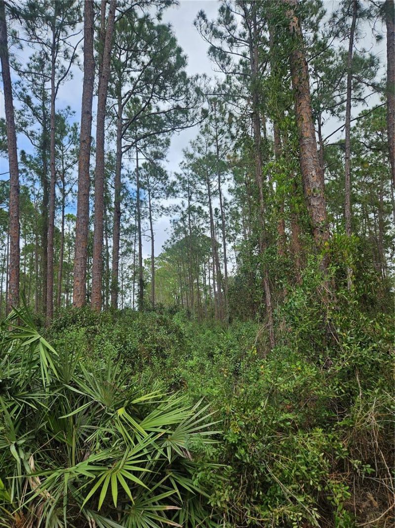 Please Call For Address, Deltona, FL 32738 Photo