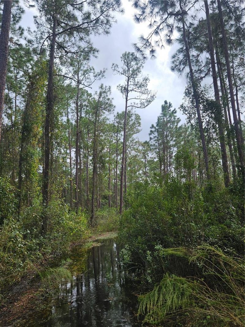 Please Call For Address, Deltona, FL 32738 Photo