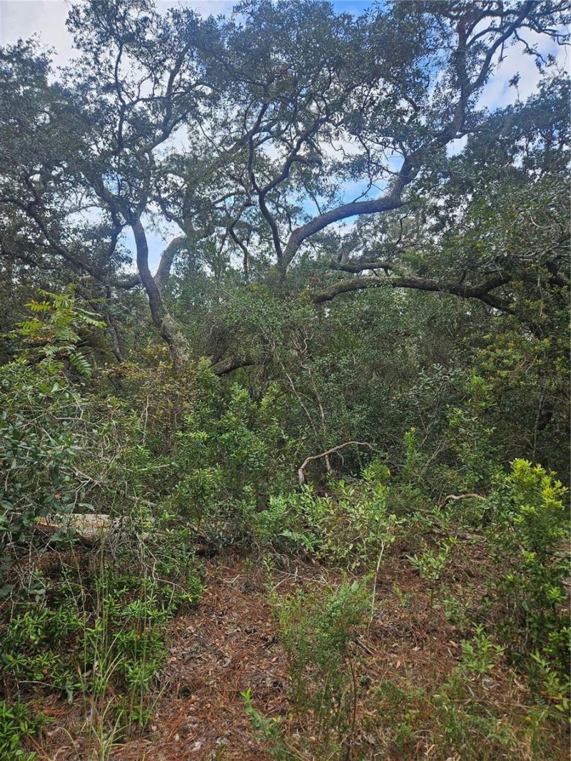 Please Call For Address, Deltona, FL 32738 Photo