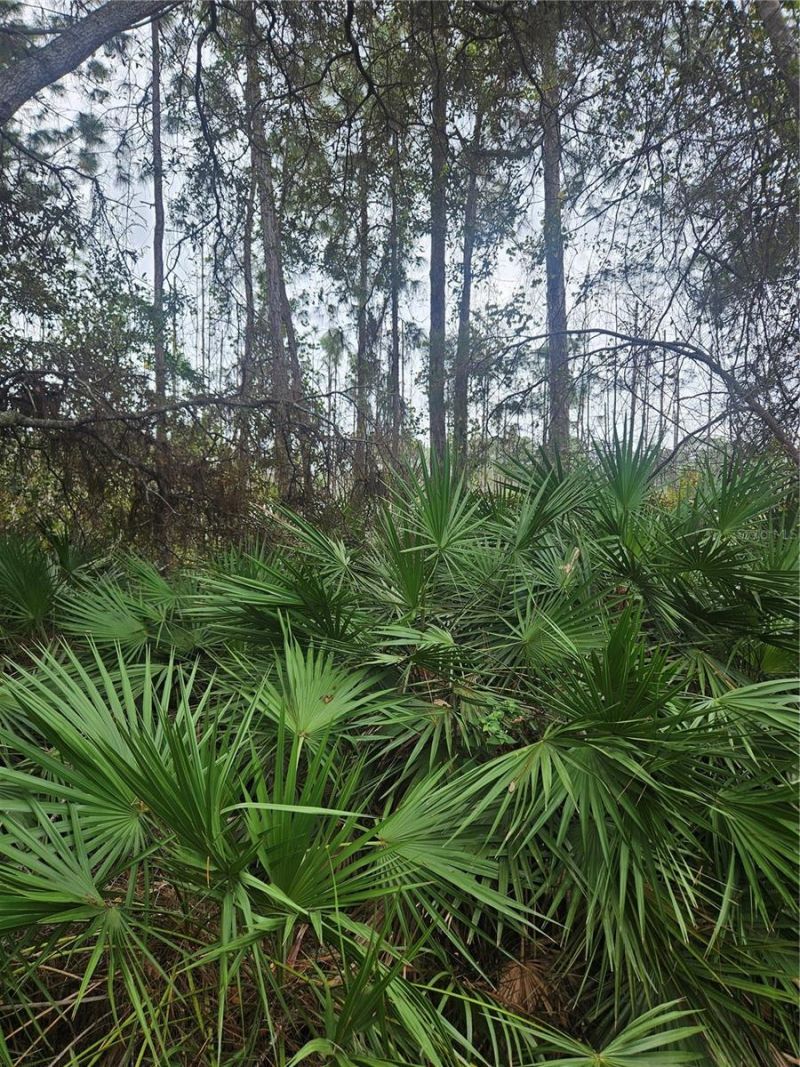 Please Call For Address, Deltona, FL 32738 Photo