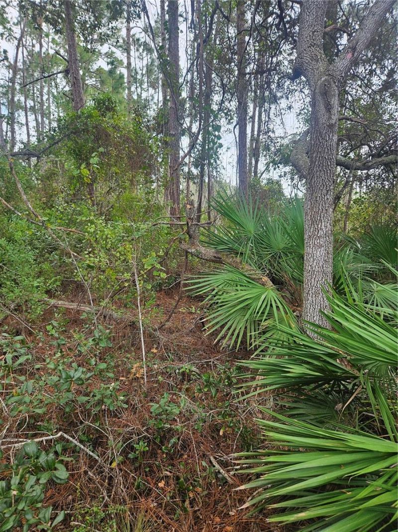 Please Call For Address, Deltona, FL 32738 Photo