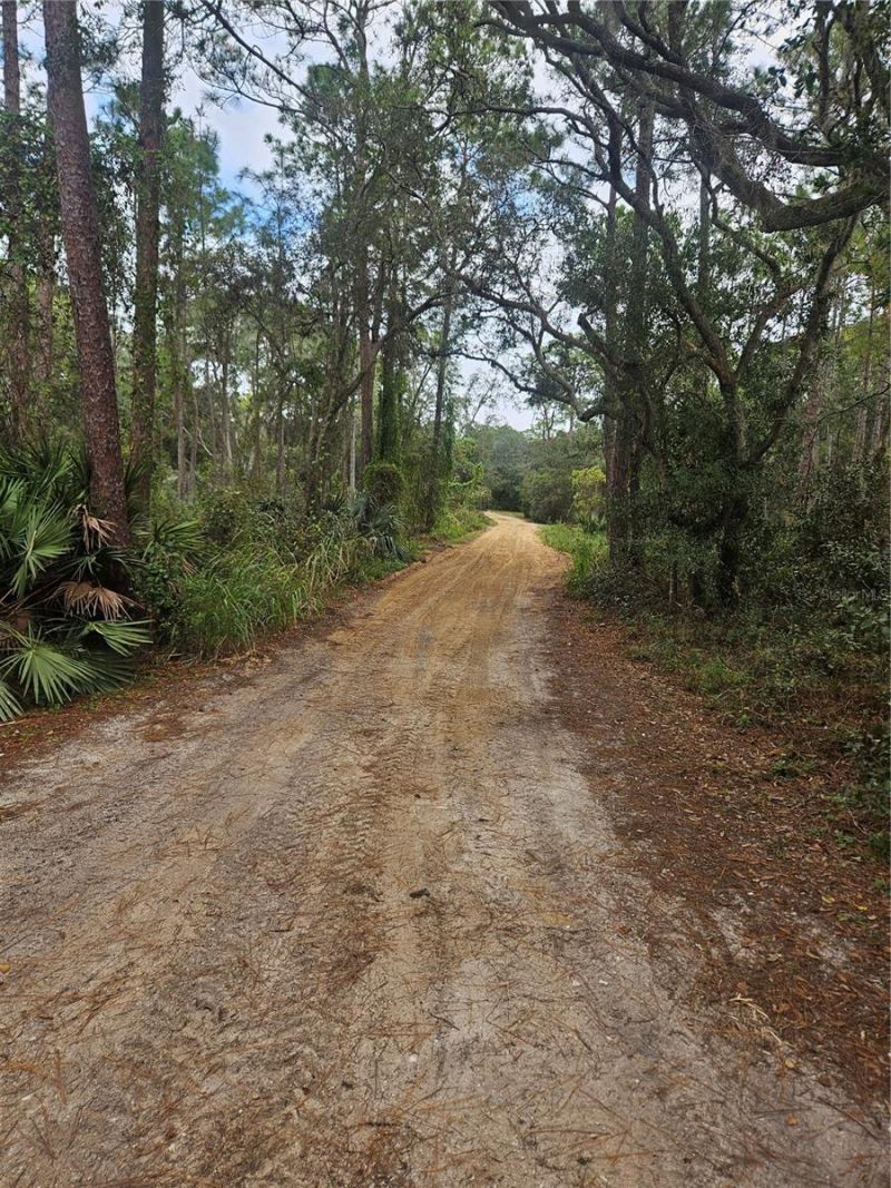 Please Call For Address, Deltona, FL 32738 Photo