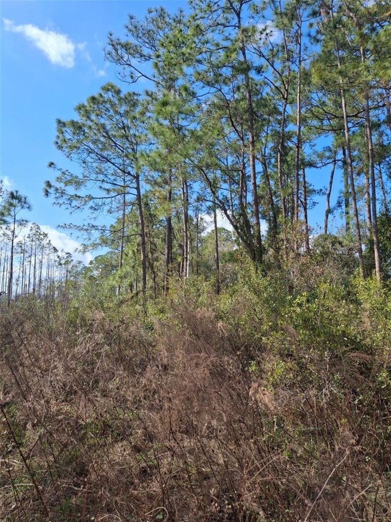 Please Call For Address, Deltona, FL 32738 Photo