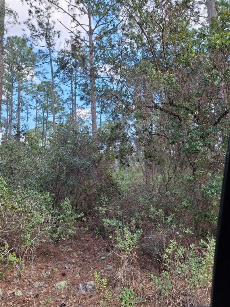 Please Call For Address, Deltona, FL 32738 Photo