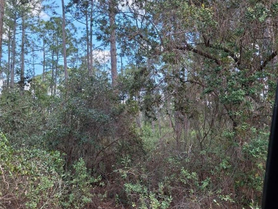 Property Image 53