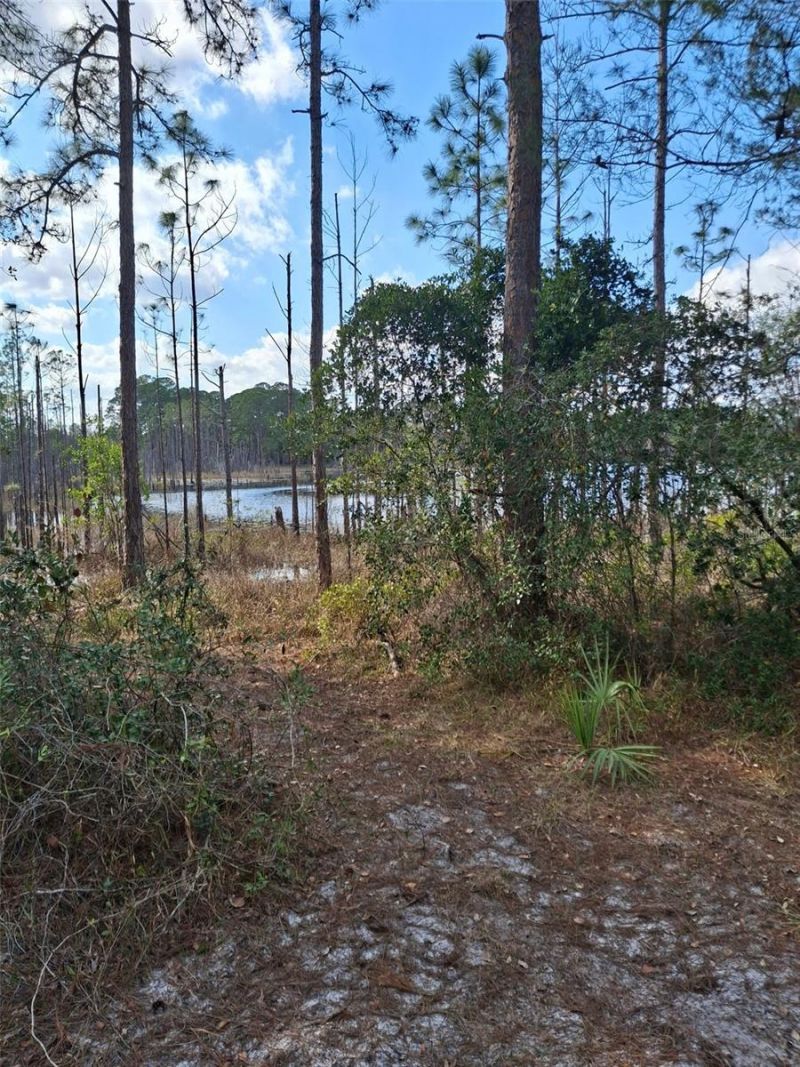 Please Call For Address, Deltona, FL 32738 Photo