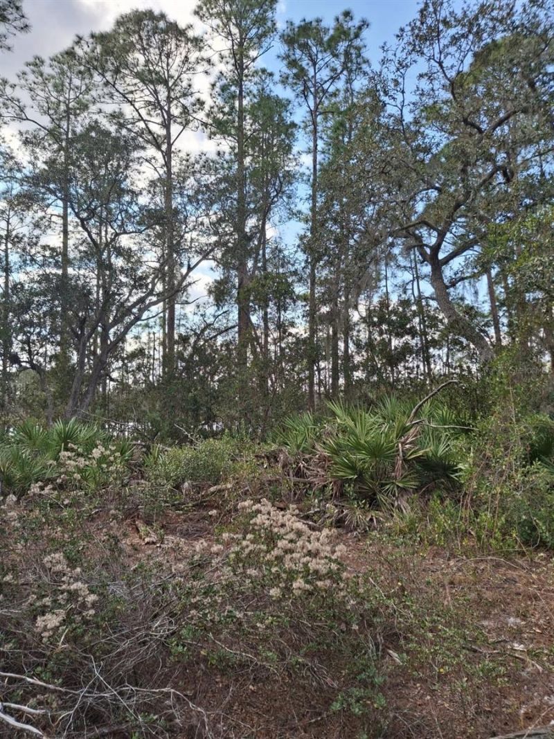 Please Call For Address, Deltona, FL 32738 Photo