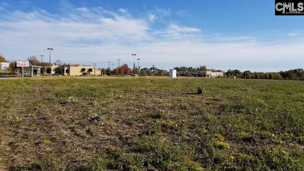 Lot 1 Bo-tire Way / Hwy 378 Photo 11