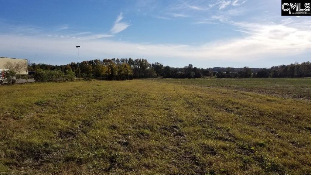 Lot 1 Bo-tire Way / Hwy 378 Photo 12