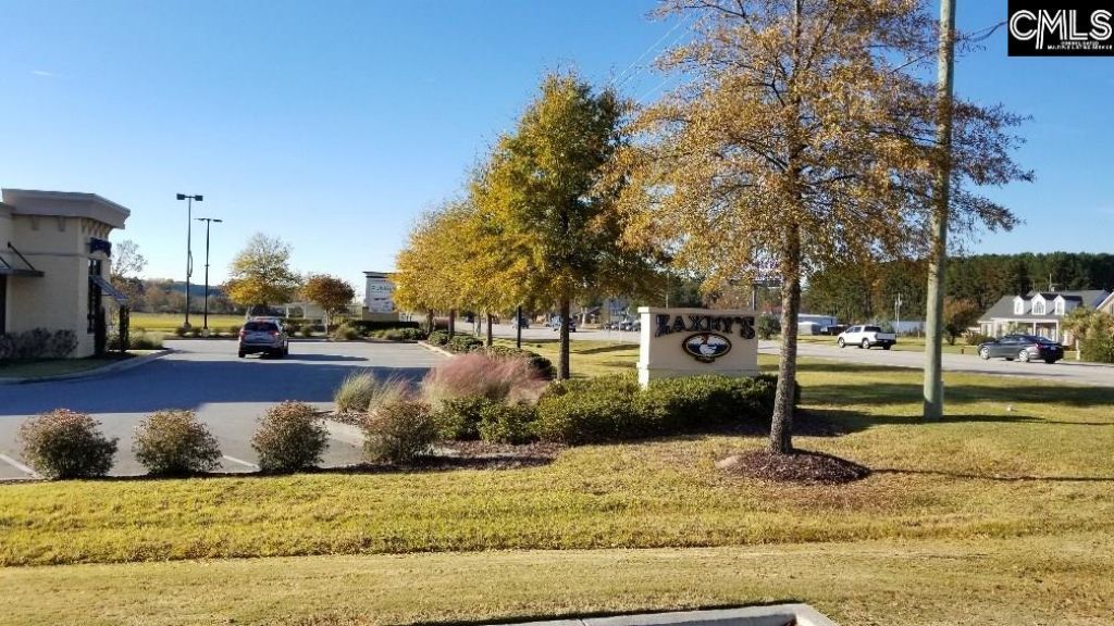 Lot 1 Bo-tire Way / Hwy 378 Photo 13