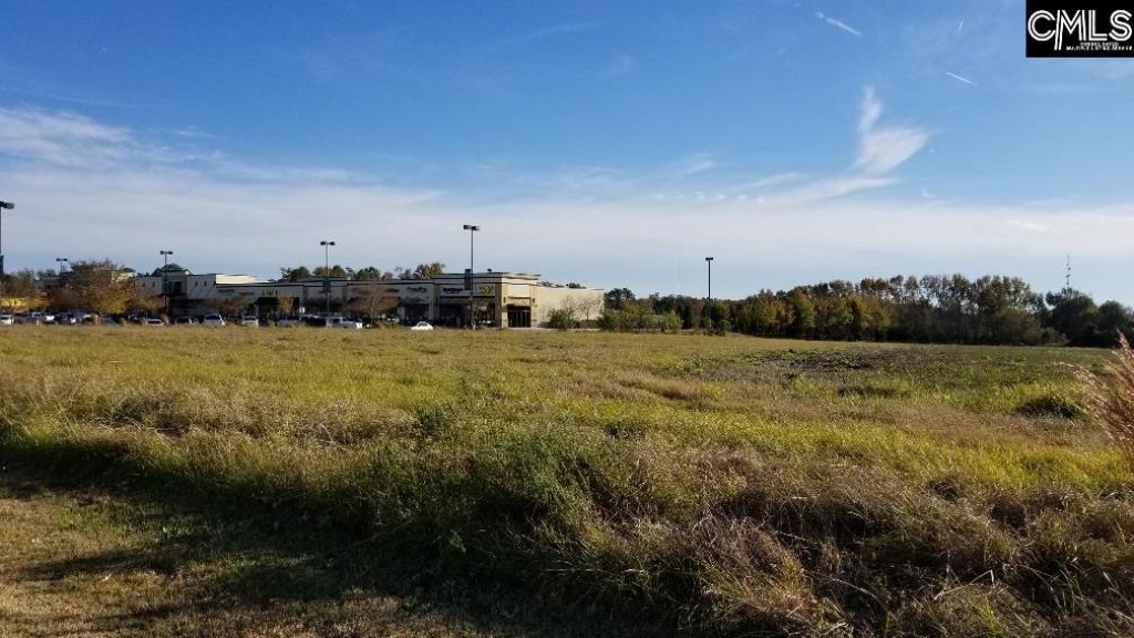 Lot 1 Bo-tire Way / Hwy 378 Photo 15