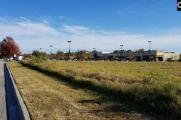 Lot 1 Bo-tire Way / Hwy 378 photo 4