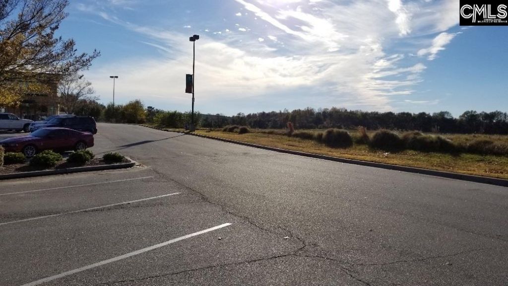 Lot 1 Bo-tire Way / Hwy 378 Photo 9