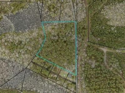 0 Pine Tree Landing Road, Andrews, SC 29510