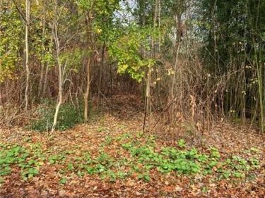 265 E Pace Avenue, Coventry, OH 44319