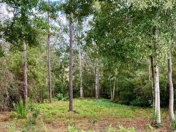 941 W Lakeshore Drive, Carriere, MS 39426