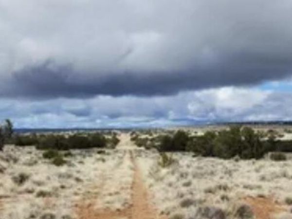 tbd LOT 86 Block 32 Bell Brand Ranches, Unit 86, Chambers, AZ 86502
