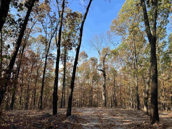 16.55 AC Jackson Ridge, Omaha, AR 72662