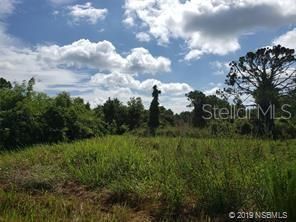 618 Ingham Road, New Smyrna Beach, FL 32168 Photo