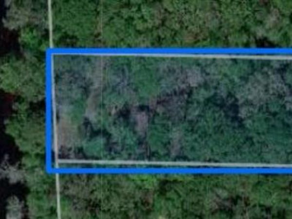 229 TH DRIVE, LIVE OAK, FL 32064