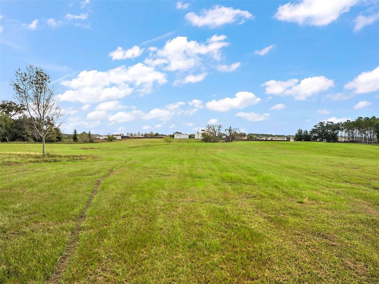 Sumter County Road 214, Oxford, FL 34484 Photo