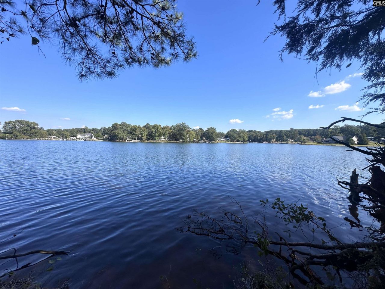 0 Spence Shore Court Photo 8