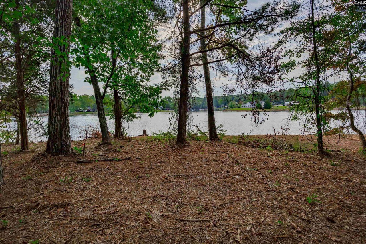 0 Spence Shore Court Photo 9