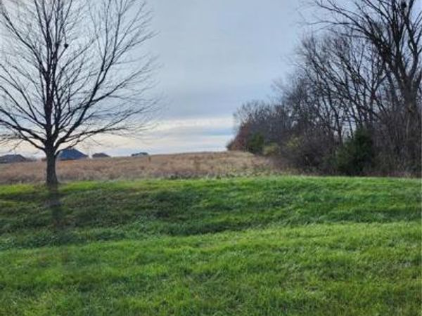 State Rt. EE Road, Harrisonville, MO 64701