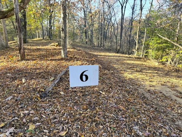 Tract 6 Topaz Way, Parrottsville, TN 37843