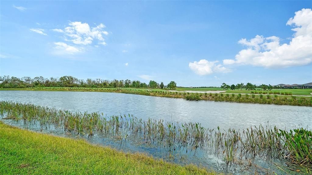 17815 Gawthrop Drive, Unit 101, Bradenton, FL 34211 Photo