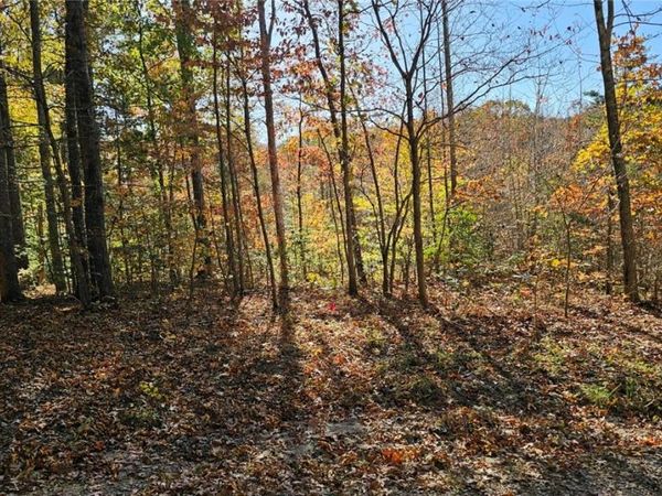 5301 Chimney Springs Drive, Goochland, VA 23063