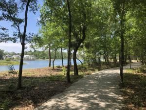 3885 Summerton Street Photo 14