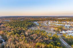 3885 Summerton Street photo 4