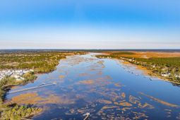 3885 Summerton Street photo 4