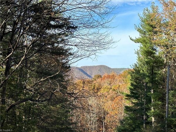 TBD Courtland Lane, Lowgap, NC 27024