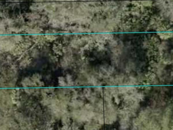 SHERMAN STREET, BUNNELL, FL 32110