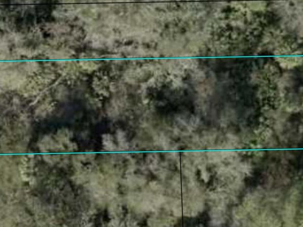 00 SHERMAN Street, Bunnell, FL 32110