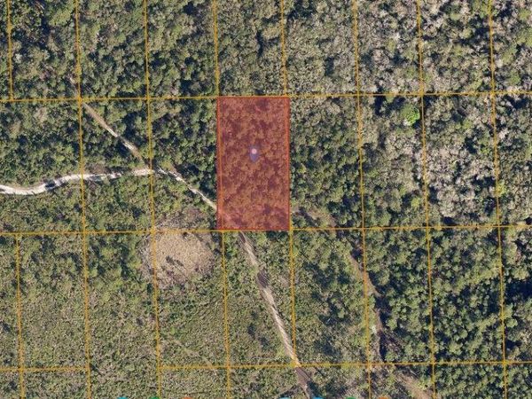 NECTARINE RD, DELAND, FL 32724