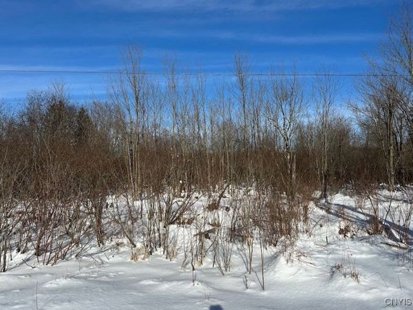 Cobb Drive, Lacona, NY 13083