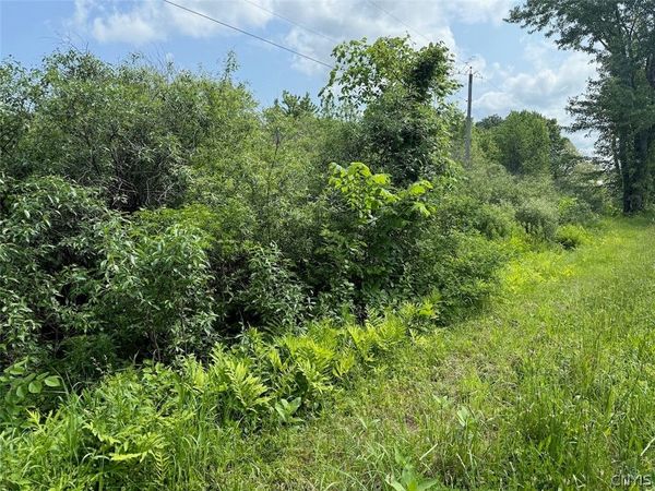 Cobb Drive, Lacona, NY 13083