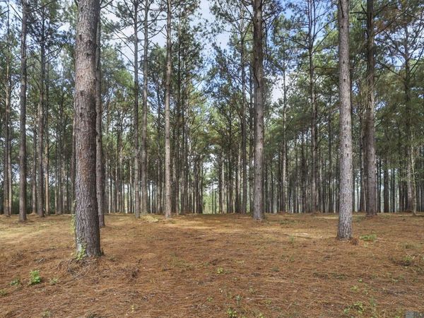 80114 Rosemary Lane, St Francisville, LA 70775