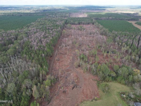 Holly Bush Road Road, Pelahatchie, MS 39145