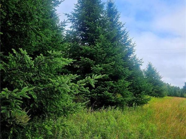 4861 swiss hill, Jeffersonville, NY 12748