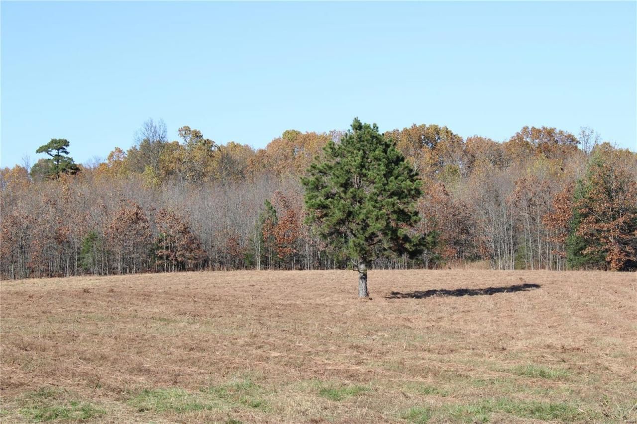 0 County Rd 2780, Mountain View, MO 65548 Main Photo